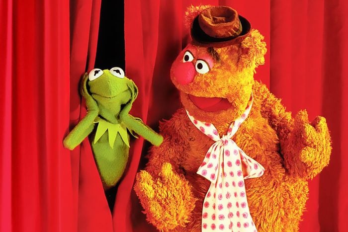 The Muppets Show