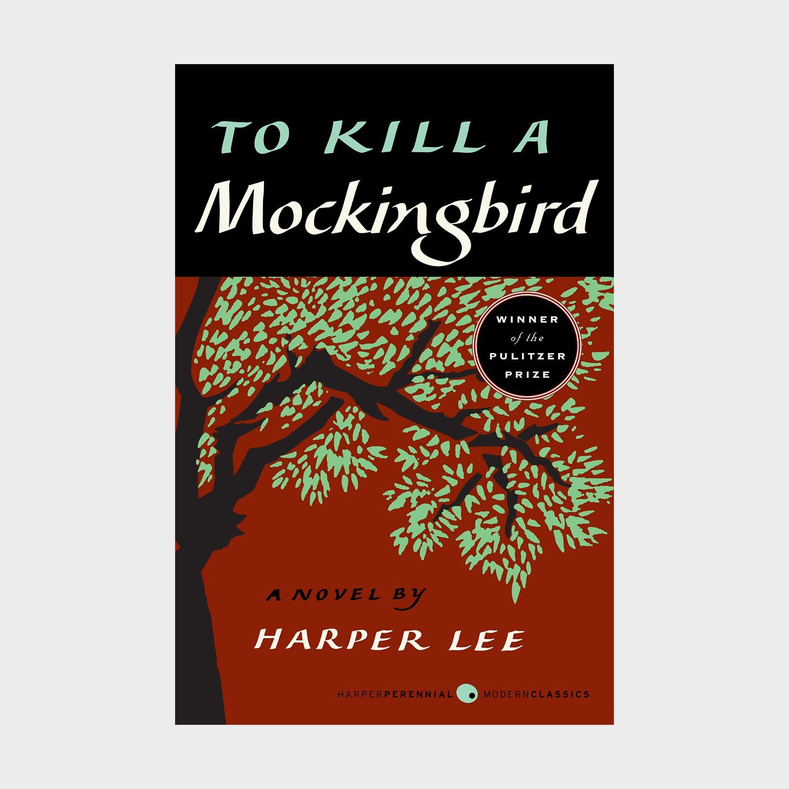 To Kill A Mockingbird Lee