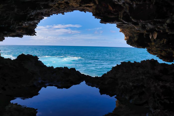 Animal, Flower Cave in Barbados