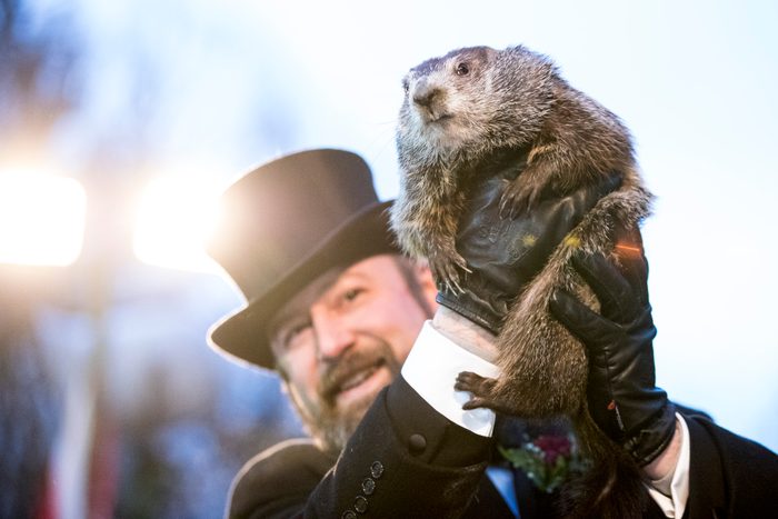 Punxsutawney Phil is held up by his handler for the crowd to see during the ceremonies for Groundhog day on February 2, 2018 in Punxsutawney, Pennsylvania.
