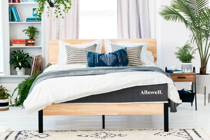 Allswell mattress on a bed frame in a bright modern bedroom filled with plants