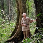 Why Jane Goodall Has Hope—Even During Trying Times
