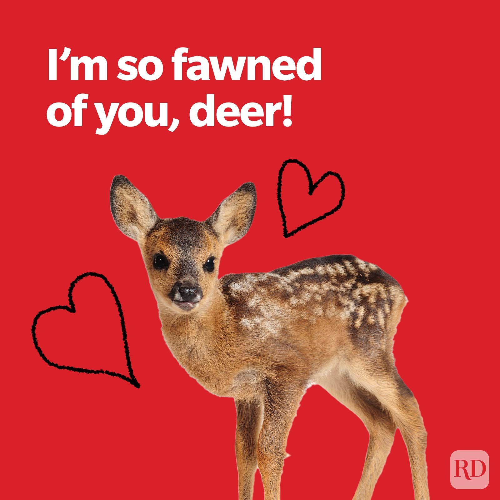 Valentines Day Puns Fawn