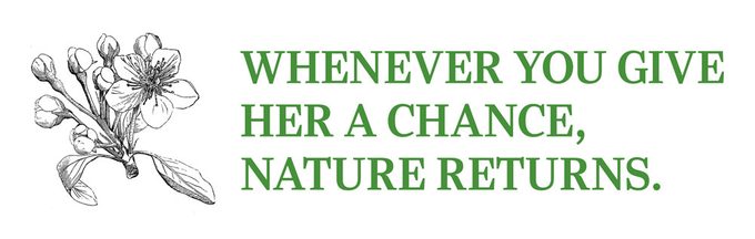 pull quote: "whenever you give her a chance, nature returns."