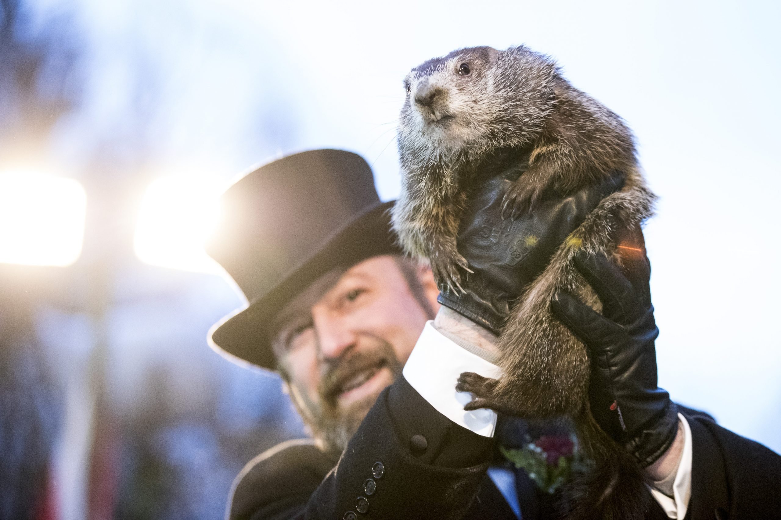 Groundhog Day History How Groundhog Day Came to Be Trusted Since 1922