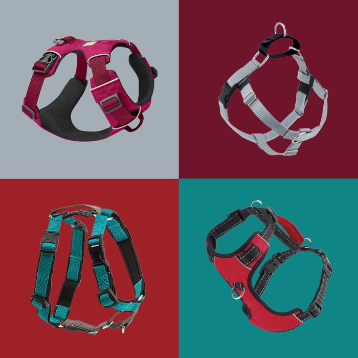 The 11 Best No Pull Dog Harnesses Ft