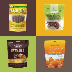 7 Eco Friendly Organic Dog Treats From Our Pet Editor