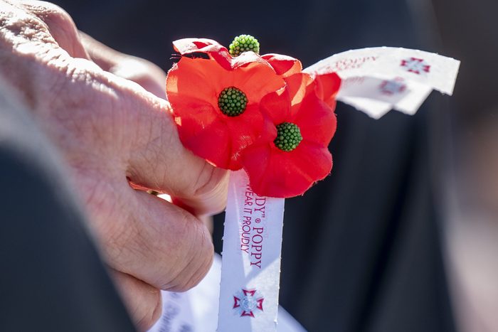 close up of hands holding a poppy during a memorial day ceremony