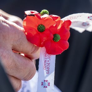 close up of hands holding a poppy during a memorial day ceremony