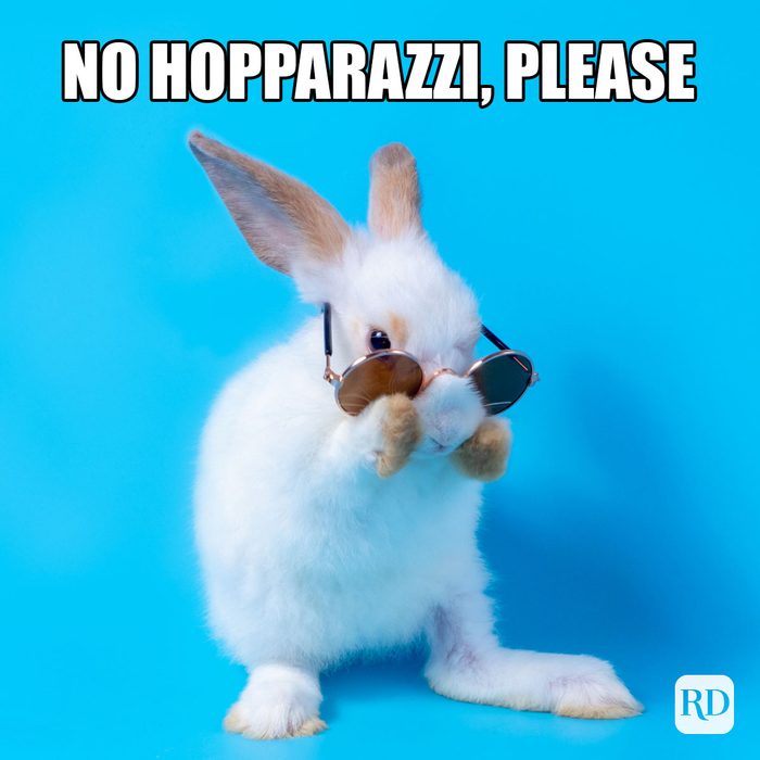 35 Hilarious Easter Memes That Will Make Any-Bunny Laugh Text: No hopparazzi, please