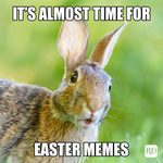 35 Hilarious Easter Memes That Will Make Any-Bunny Laugh