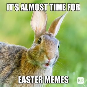 35 Hilarious Easter Memes That Will Make Any-Bunny Laugh Text: It's almost time for Easter memes