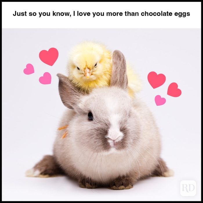 35 Hilarious Easter Memes That Will Make Any-Bunny Laugh Text: Just so you know, I love you more than chocolate eggs
