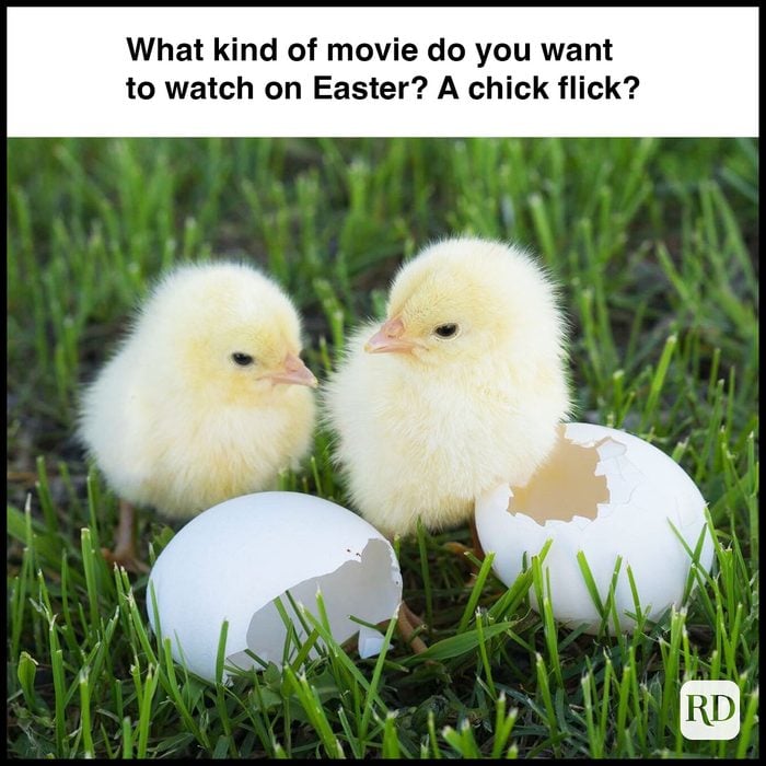 35 Hilarious Easter Memes That Will Make Any-Bunny Laugh Text: What kind of movie do you want to watch on Easter? A chick flick?