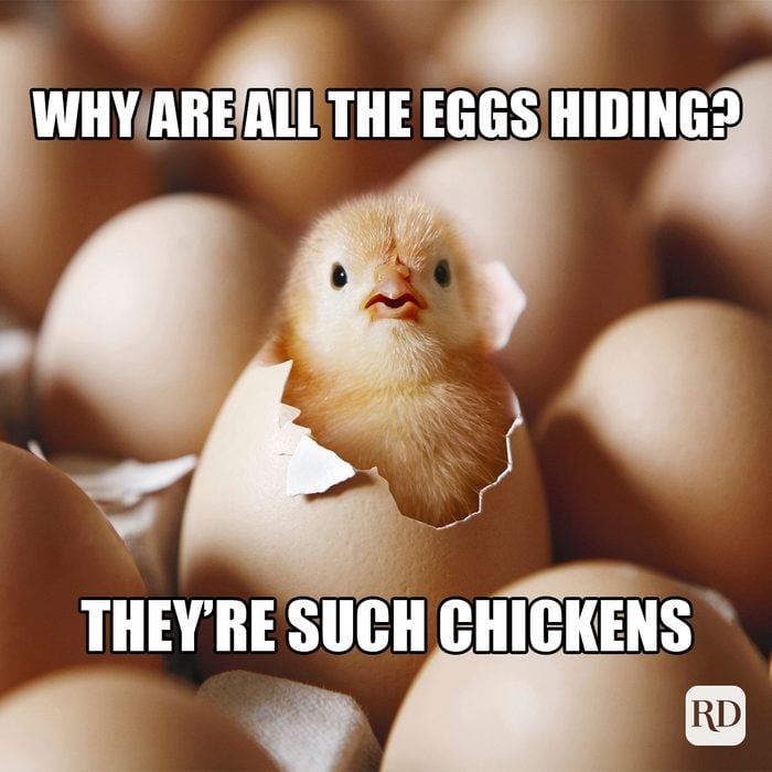 35 Hilarious Easter Memes That Will Make Any-Bunny Laugh Text: Why are all the eggs hiding? They're such chickens