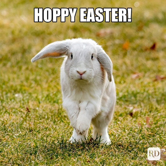 35 Hilarious Easter Memes That Will Make Any-Bunny Laugh Text: Hoppy Easter!