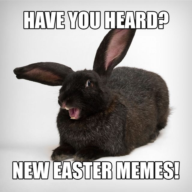 35 Hilarious Easter Memes That Will Make Any-Bunny Laugh Text: Have you heard? New Easter memes!