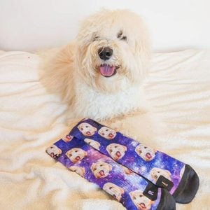 Customized Dog Socks Ecomm Via Etsy.com