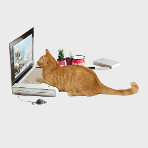 Laptop Cat Scratching Pad Ecomm Via Uncommongoods