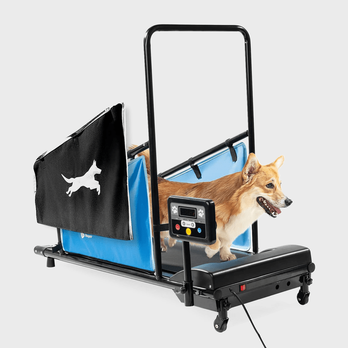 Lifepro Dog Treadmill Ecomm Via Amazon