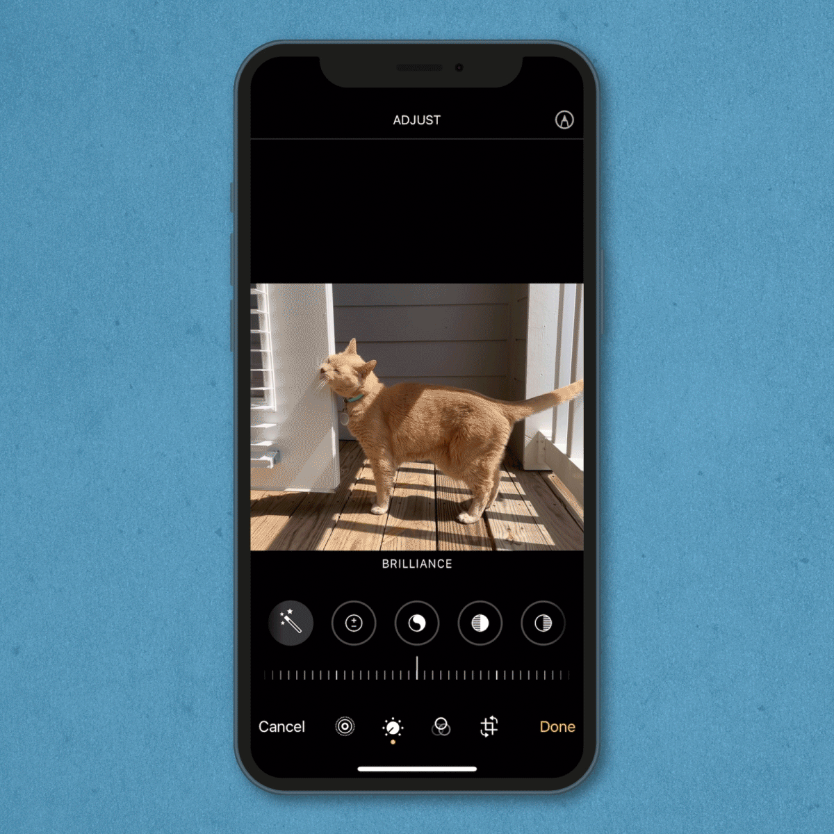 gif showing how to edit a photo's brilliance on an iPhone