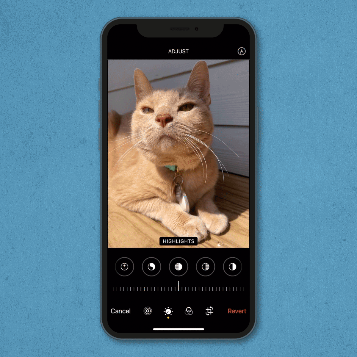 gif showing how to edit a photo's highlights on an iPhone