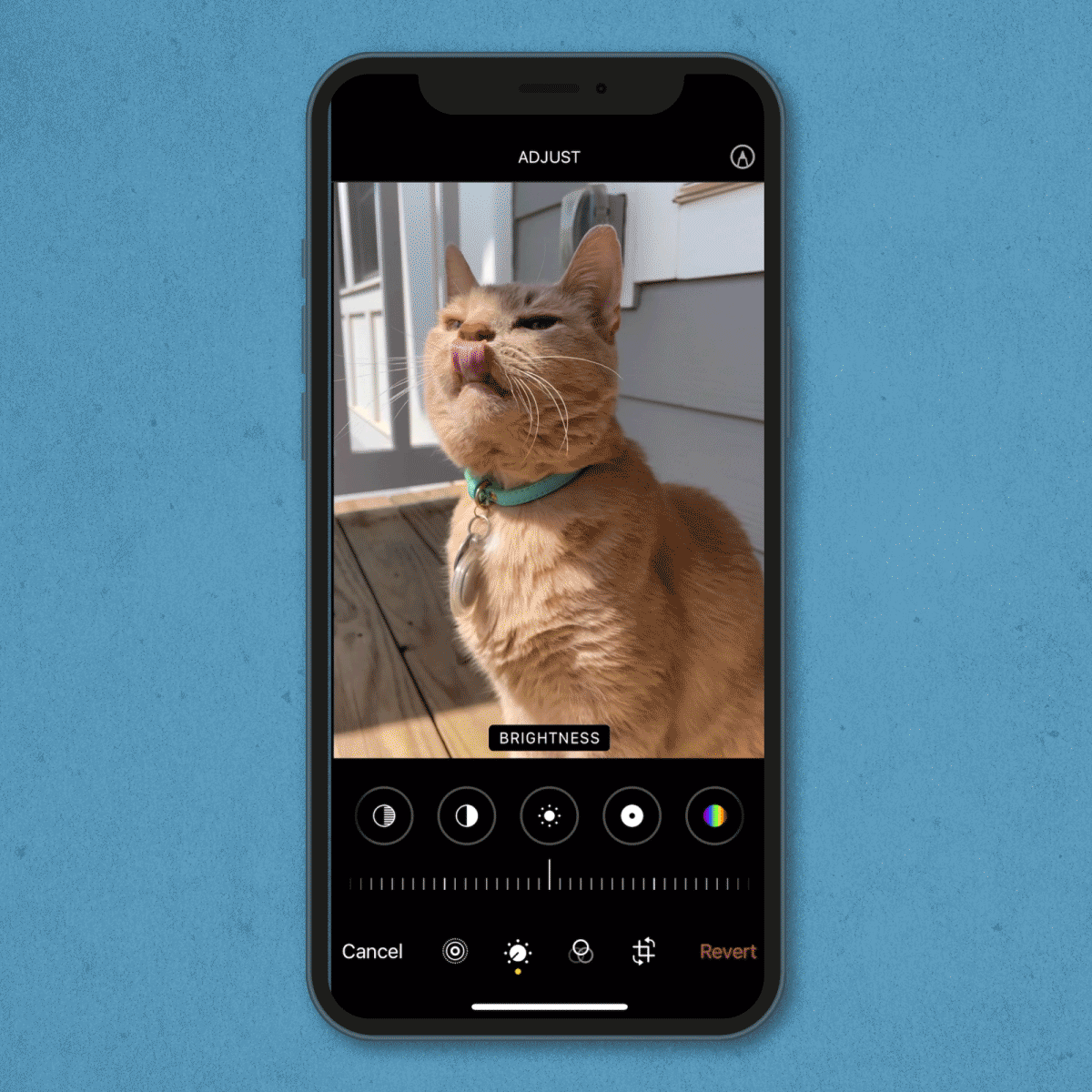 gif showing how to edit a photo's brightness on an iPhone
