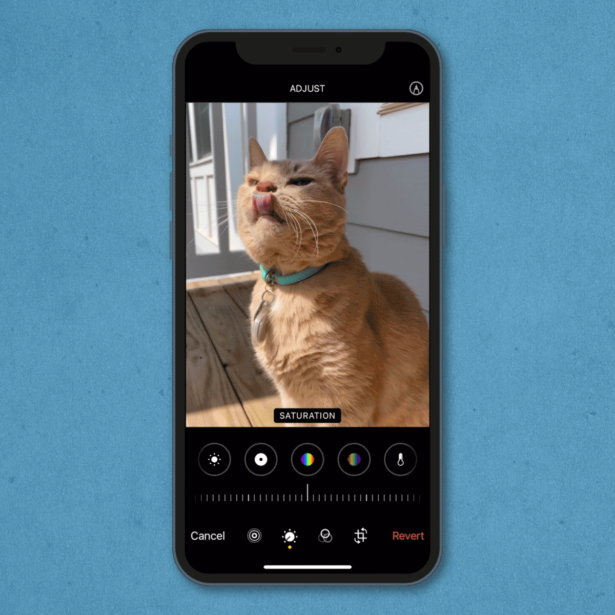 gif showing how to edit a photo's saturation on an iPhone