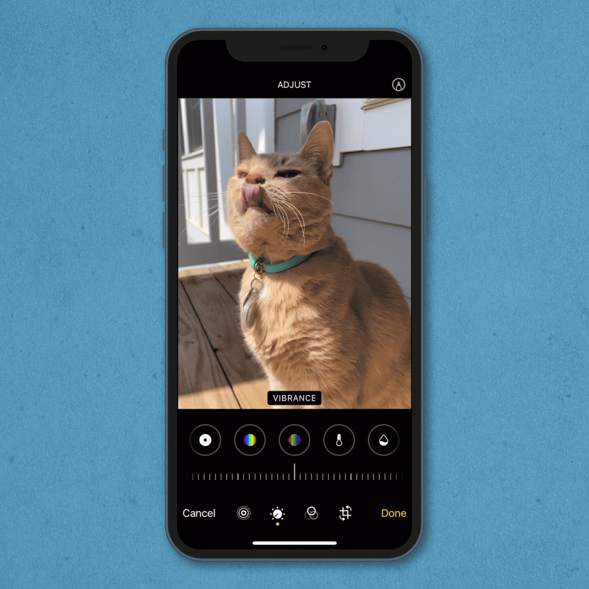 gif showing how to edit a photo's vibrance on an iPhone