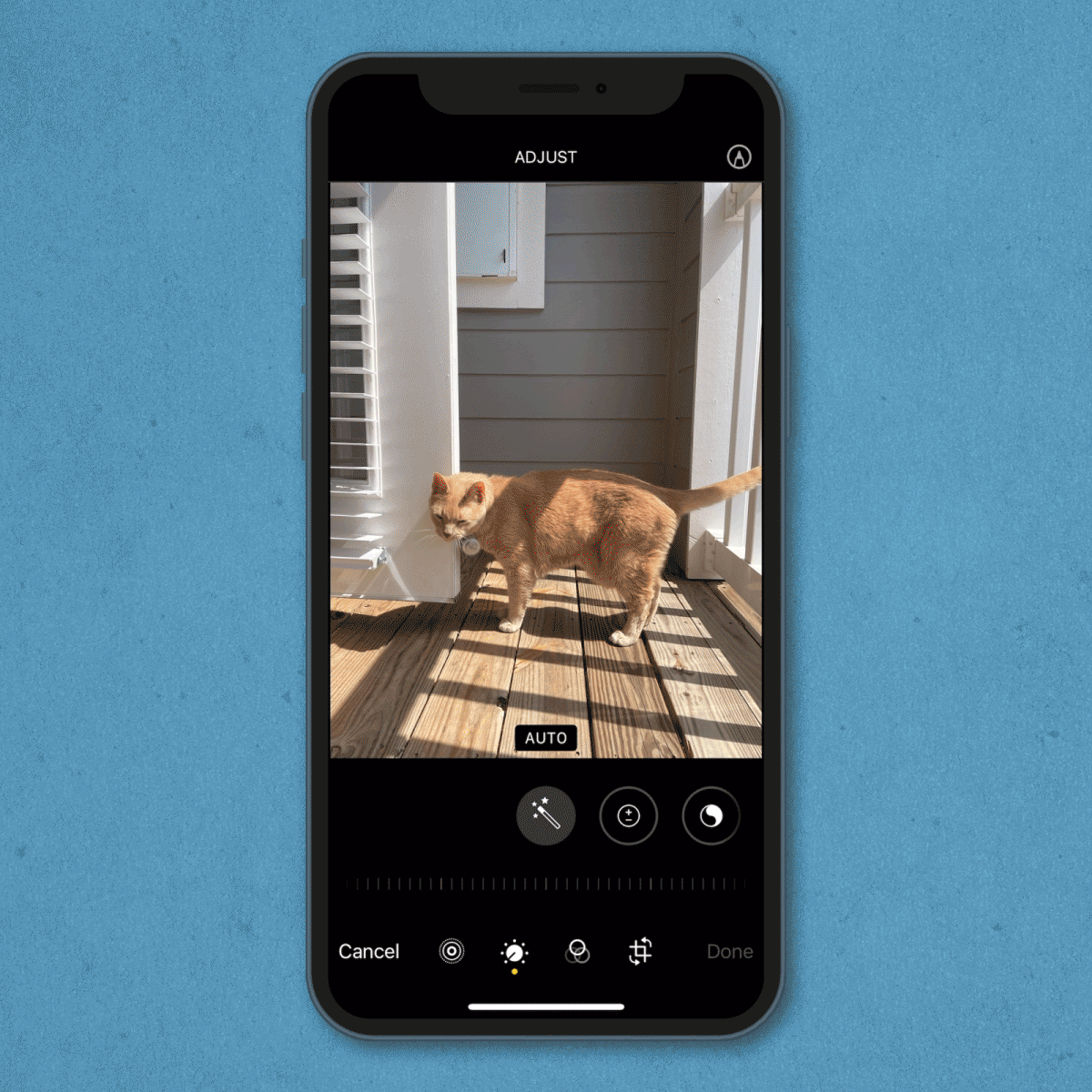 gif showing how to crop a photo on an iPhone