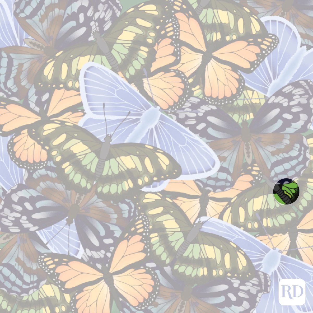 Find The Hidden Caterpillar Among The Butterflies Illustration Answer Key