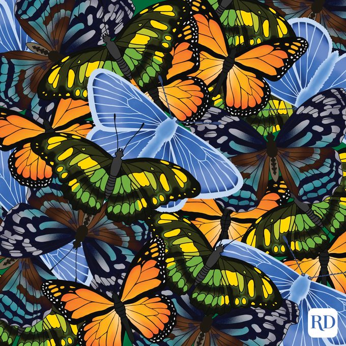 Find The Hidden Caterpillar Among The Butterflies Illustration