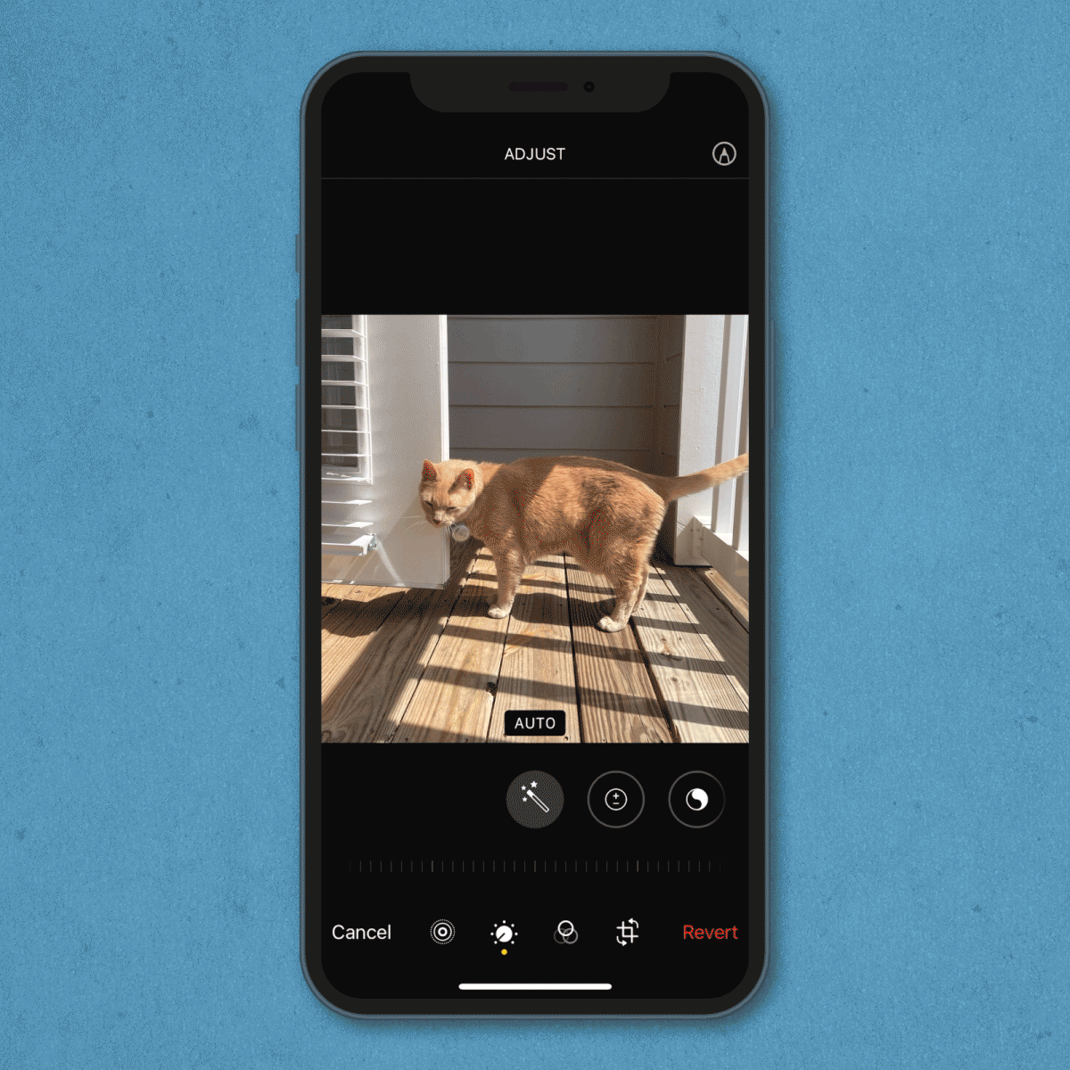 gif showing how to change aspect ratio on an iPhone
