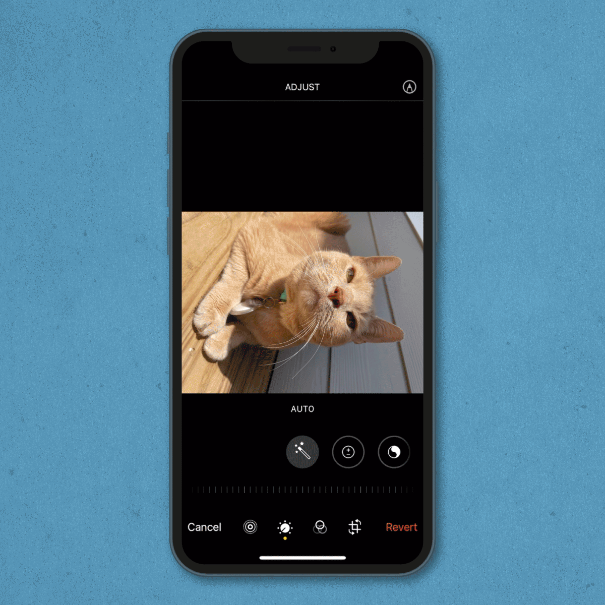 gif showing how to rotate a photo on an iPhone