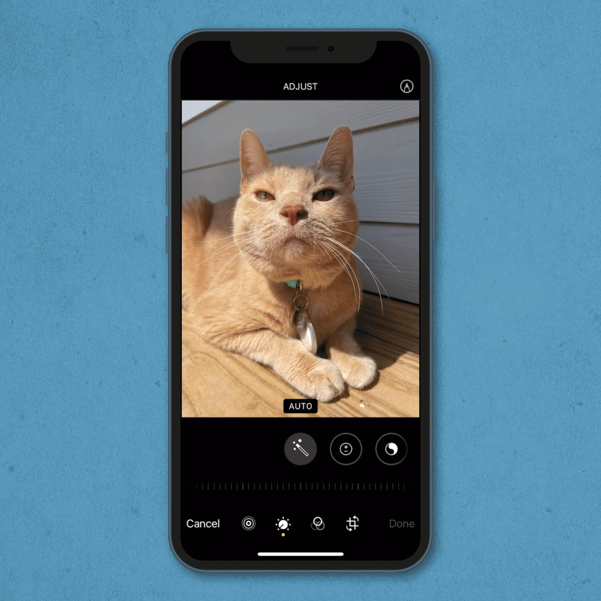 gif showing how to mirror photos on an iPhone