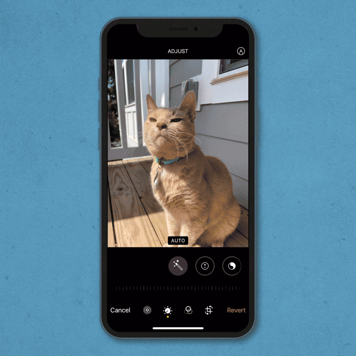 gif showing how to choose a frame from a live photo on an iPhone