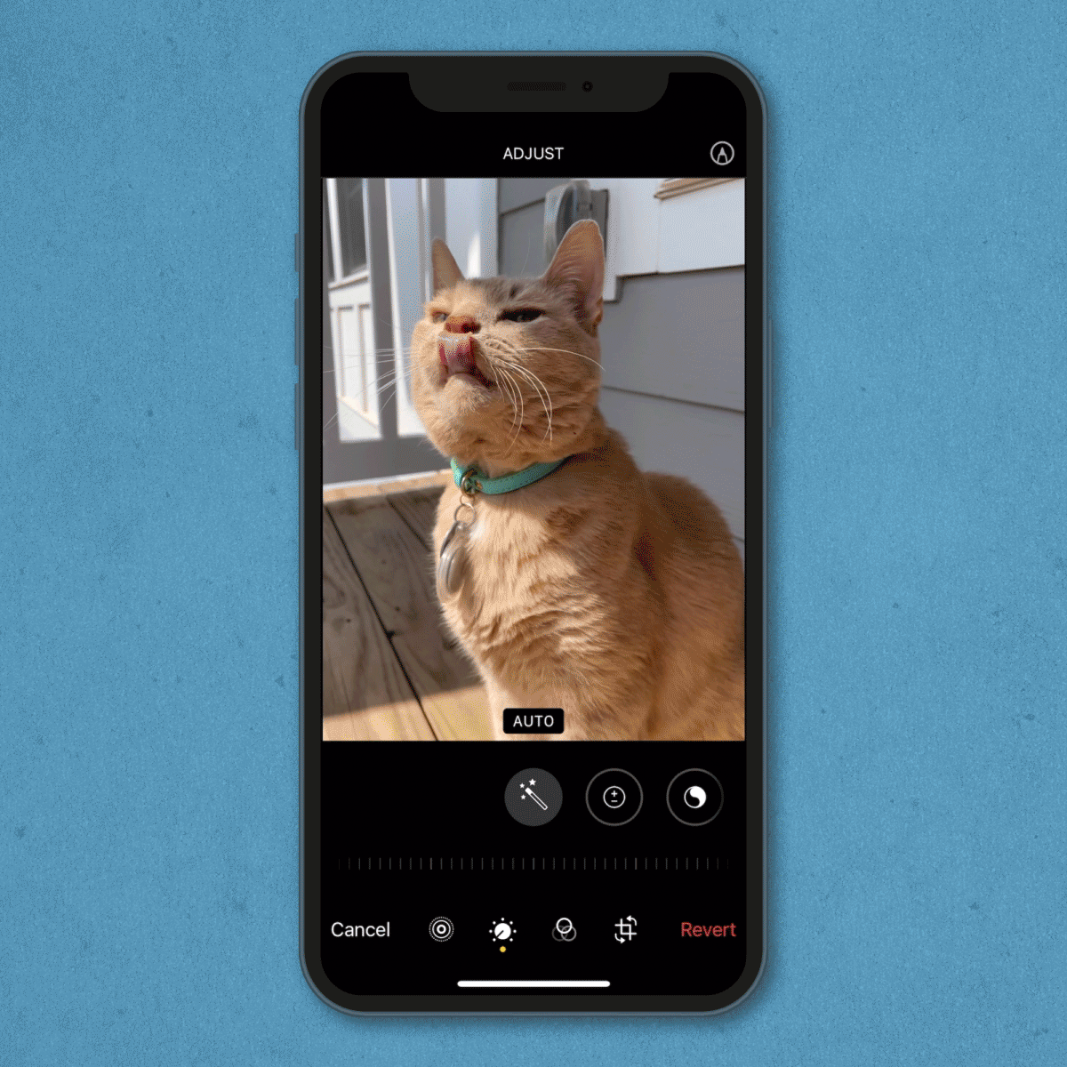 gif showing how to auto enhance a photo on an iPhone