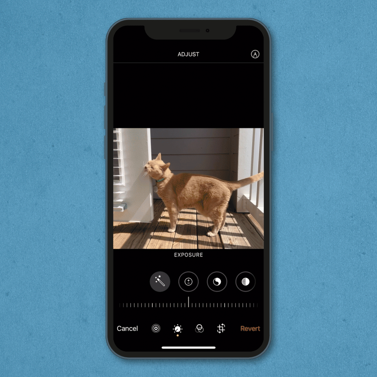 gif showing how to edit a photo's exposure on an iPhone