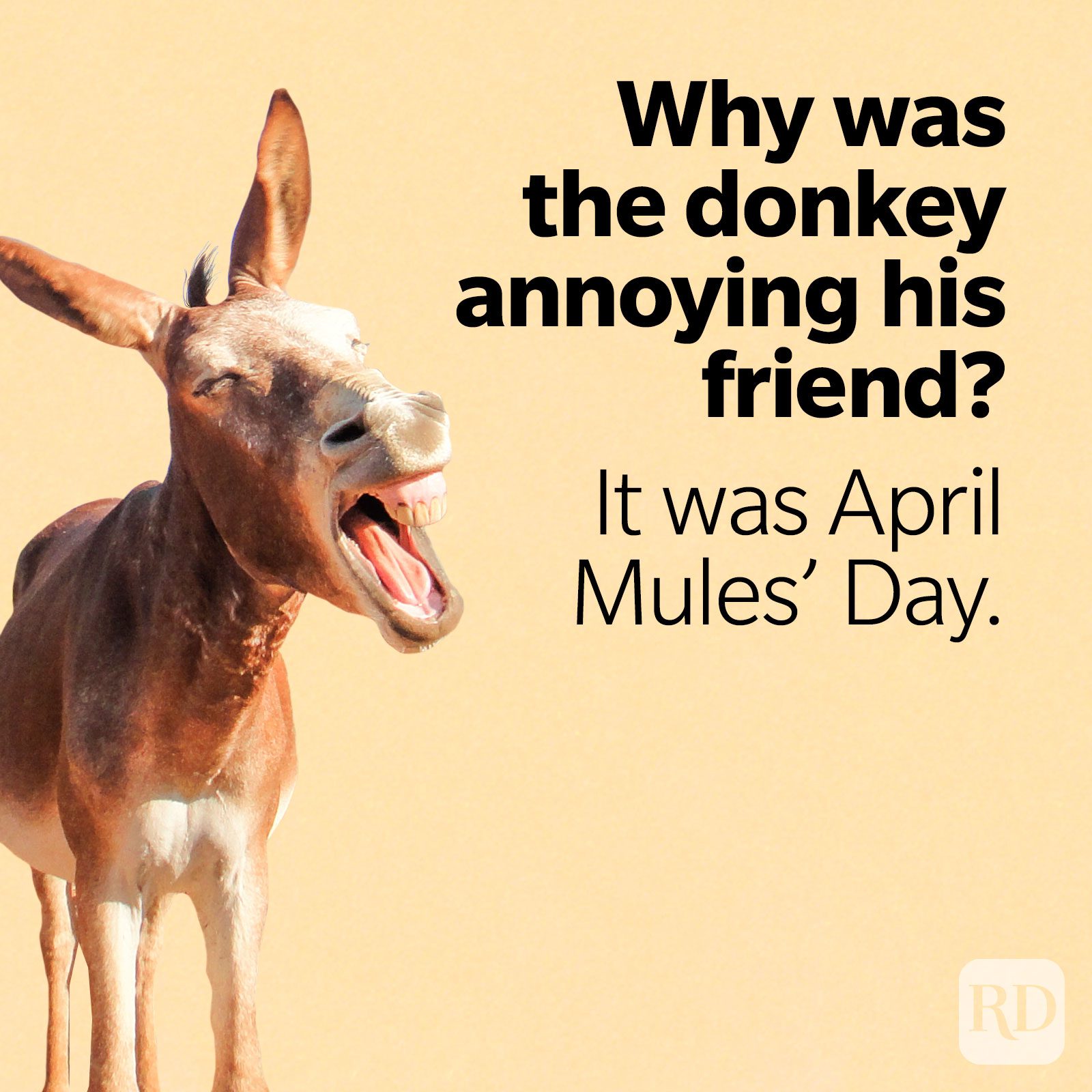 35 Funniest April Fools' Jokes of 2023 Best April Fools' Day Jokes