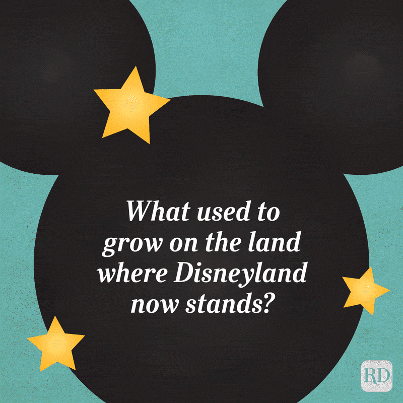 Rd Disney Trivia Questions Disneyland03