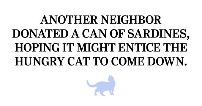 QUOTE: Another neighbor donated a can of sardines, hoping it might entice the hungry cat to come down.