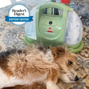 bissell little green machine with a dog laying on the floor in front of it