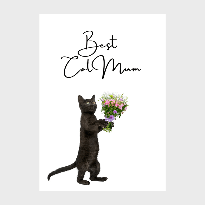 Best Cat Mom Black Cats Ecomm Via Etsy