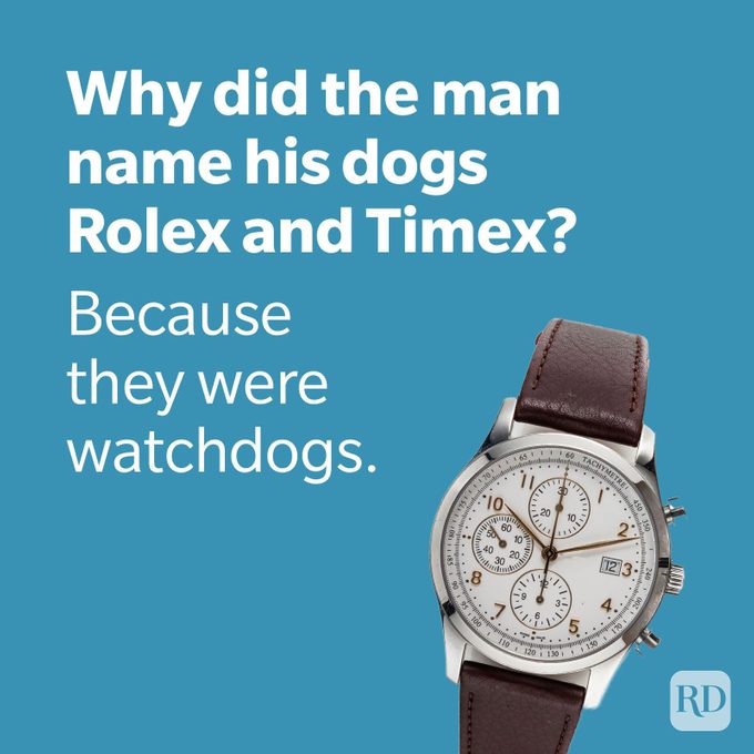 Dad Joke about dogs named rolex and timex