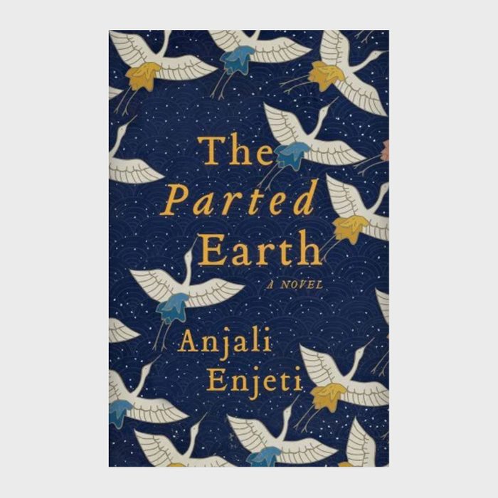 The Parted Earth by Anjali Entjeti