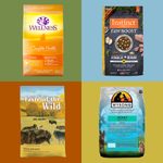 8 Best Probiotic Dog Foods, According to Our Pet Expert