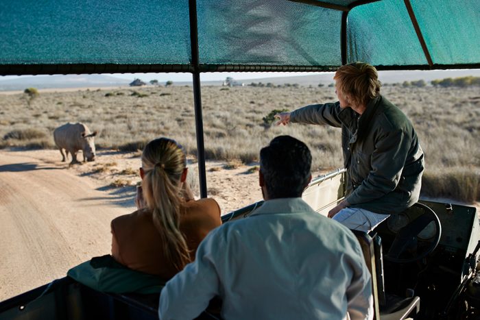 Couple on safari trip with tour guide, taking pictures of rhinos out of 4x4 vehicle