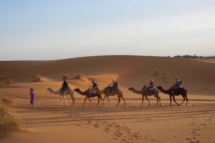 Camel tour in desert near Morocco