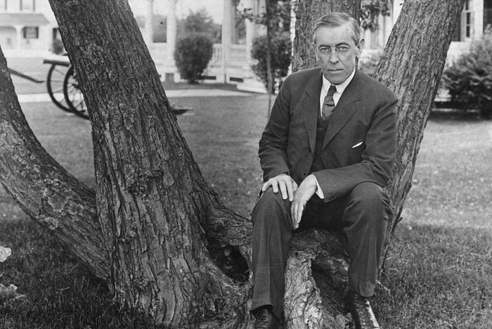 American President Woodrow Wilson sitting with a tree