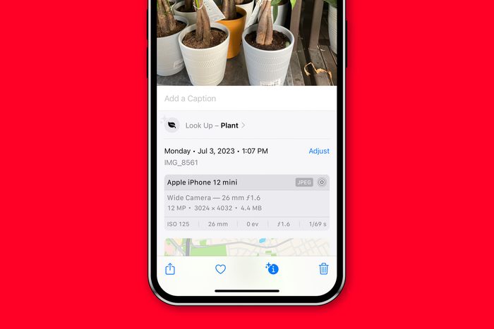 Hidden Iphone Tips And Tricks 43 Add Captions To Photos And Videos